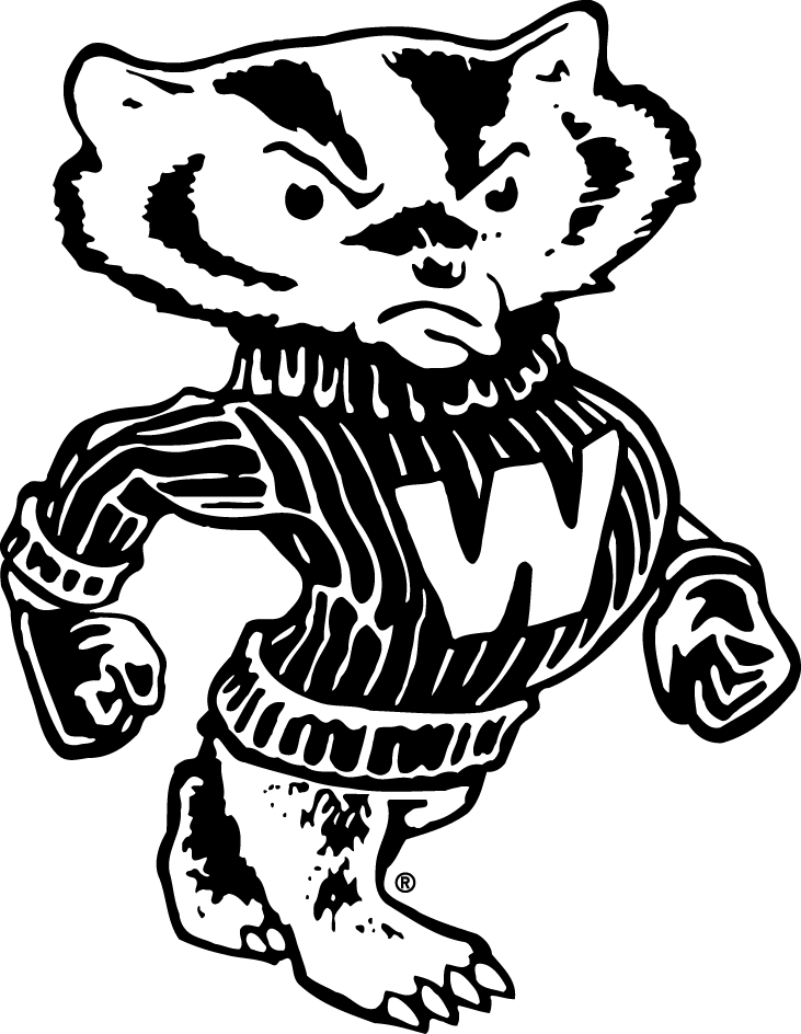 Wisconsin Badgers 1948-1969 Secondary Logo v2 iron on transfers for clothing